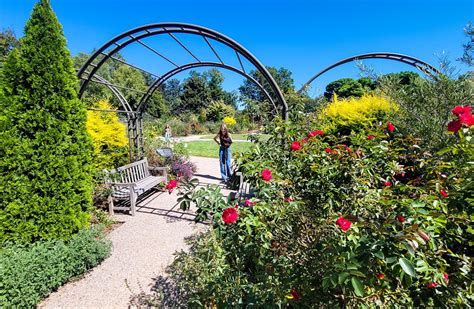 raulston arboretum